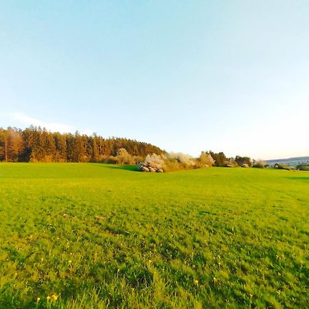 Hochwertige Wohnung Mit Parkplatz Im Schoenen Schwarzwald Altensteig Bagian luar foto