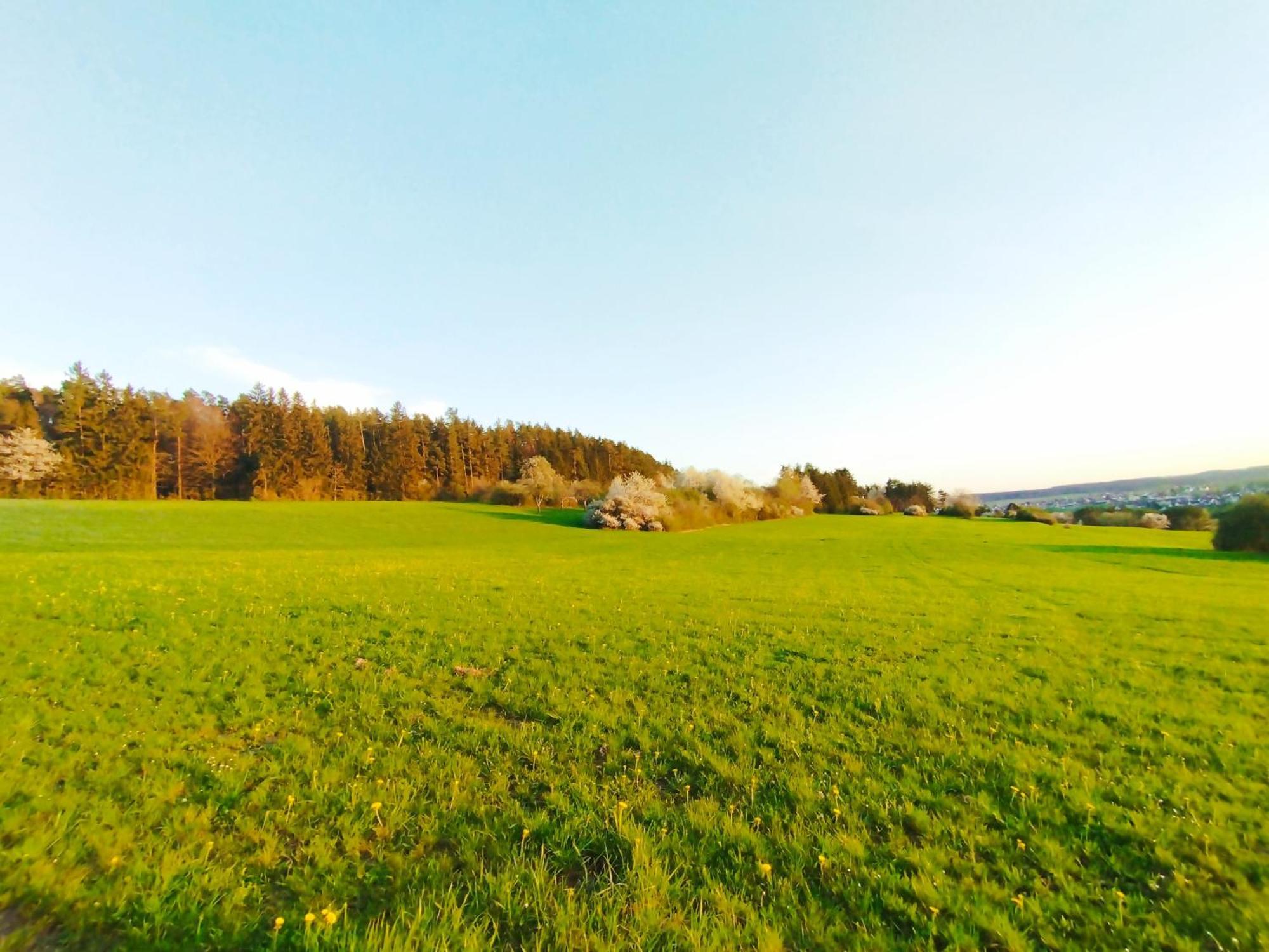 Hochwertige Wohnung Mit Parkplatz Im Schoenen Schwarzwald Altensteig Bagian luar foto